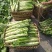 花叶棒菜（青棒薄皮）1.0斤以上