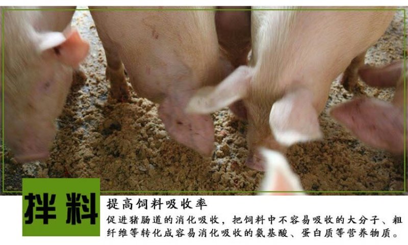 养猪em菌种豆渣潲水饲料发酵剂养猪专用益生菌