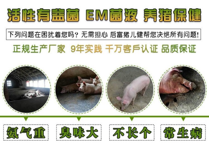 养猪em菌种豆渣潲水饲料发酵剂养猪专用益生菌