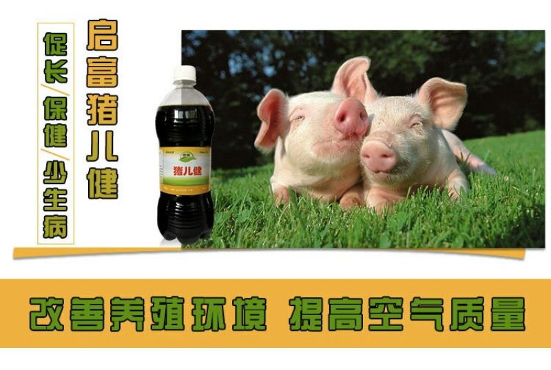 养猪益生菌小猪调理肠胃防拉稀专用em菌兽用促长剂