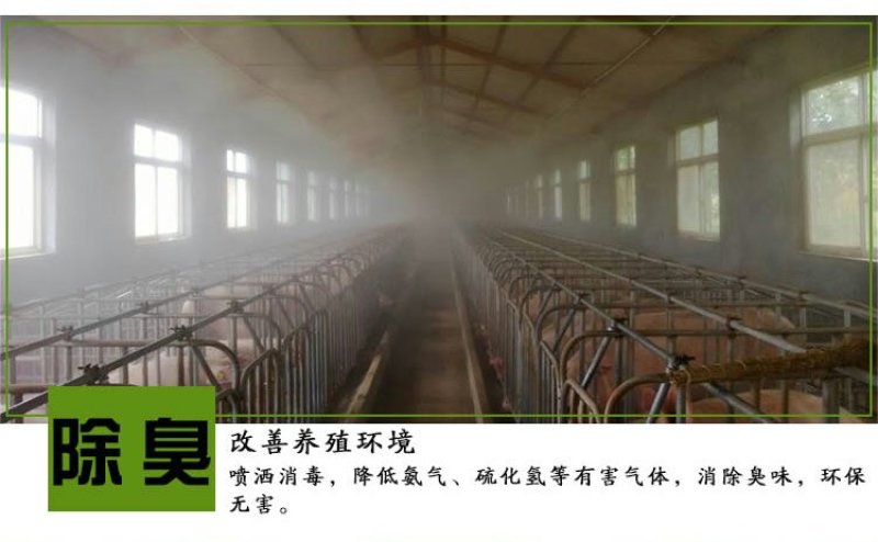 养猪益生菌小猪调理肠胃防拉稀专用em菌兽用促长剂