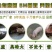 养猪益生菌小猪调理肠胃防拉稀专用em菌兽用促长剂
