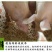 养猪益生菌小猪调理肠胃防拉稀专用em菌兽用促长剂