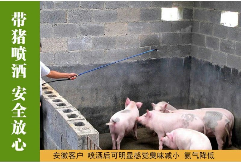 养猪益生菌小猪调理肠胃防拉稀专用em菌兽用促长剂