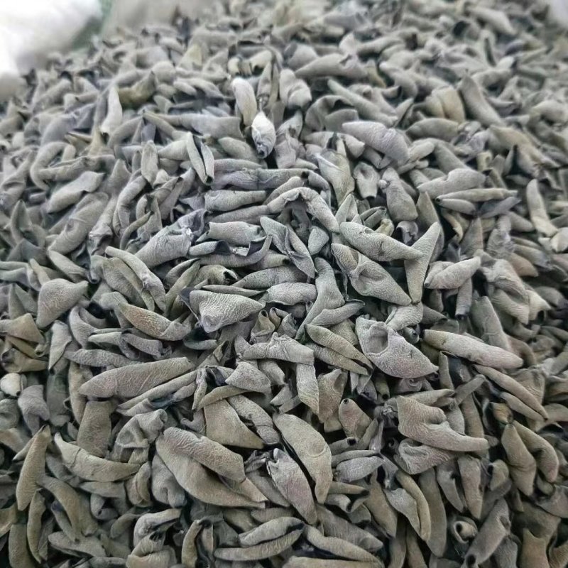 秋木耳一级货新木耳包邮