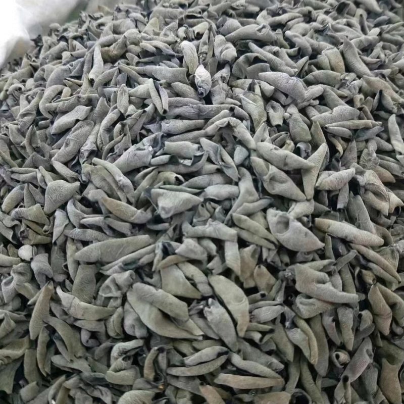 秋木耳一级货新木耳包邮
