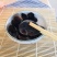 秋木耳一级货新木耳包邮