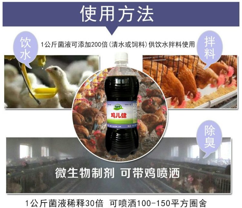 养鸡em菌液养鸡专用益生菌鸡饲料发酵剂发酵豆渣养鸡