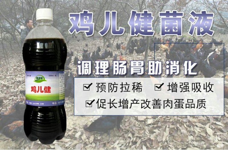 养鸡em菌液养鸡专用益生菌鸡饲料发酵剂发酵豆渣养鸡