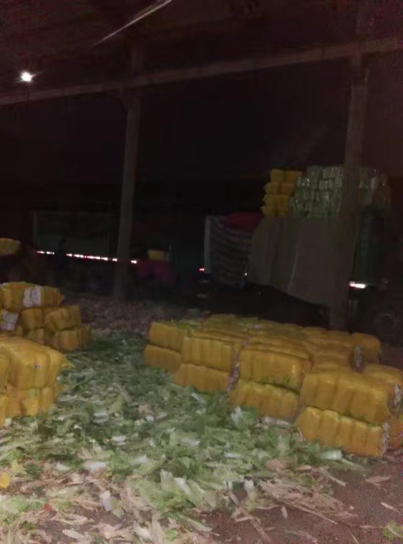 北京新三号大量供应！加工各种包装市场货酸菜厂储存货