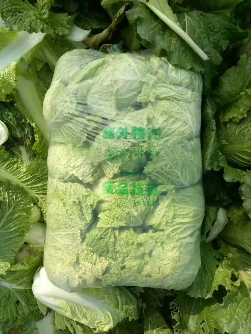 北京新三号大量供应！加工各种包装市场货酸菜厂储存货