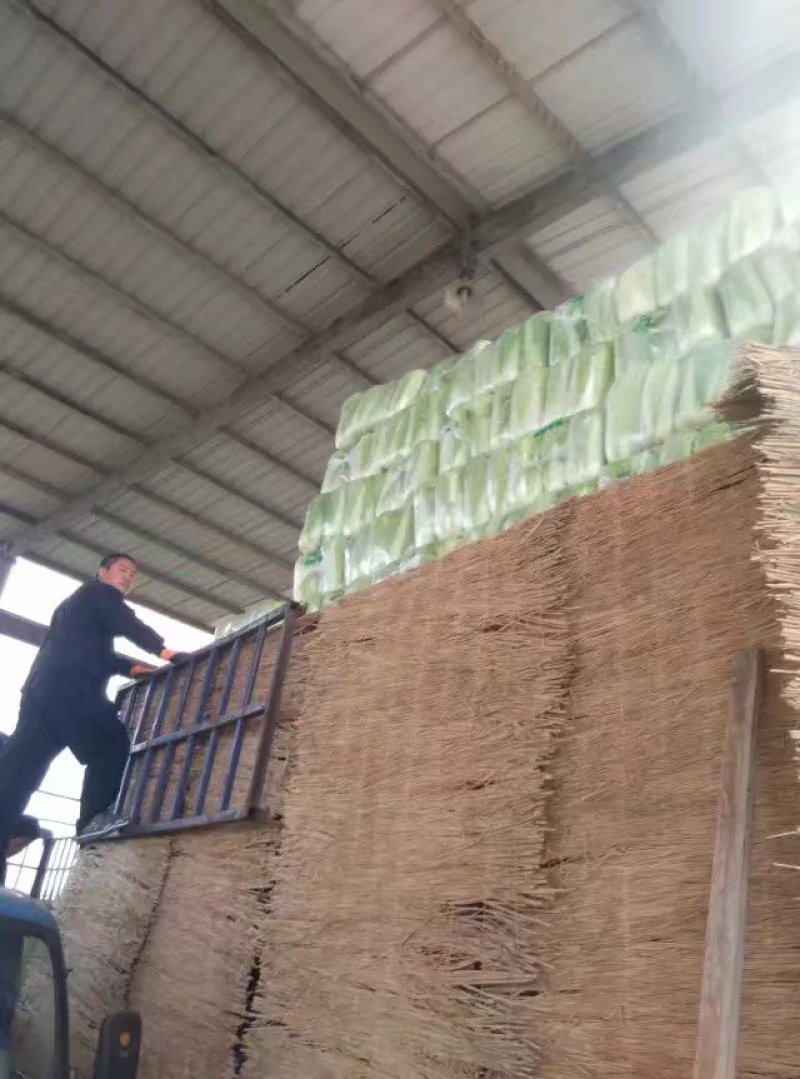 北京新三号大量供应！加工各种包装市场货酸菜厂储存货