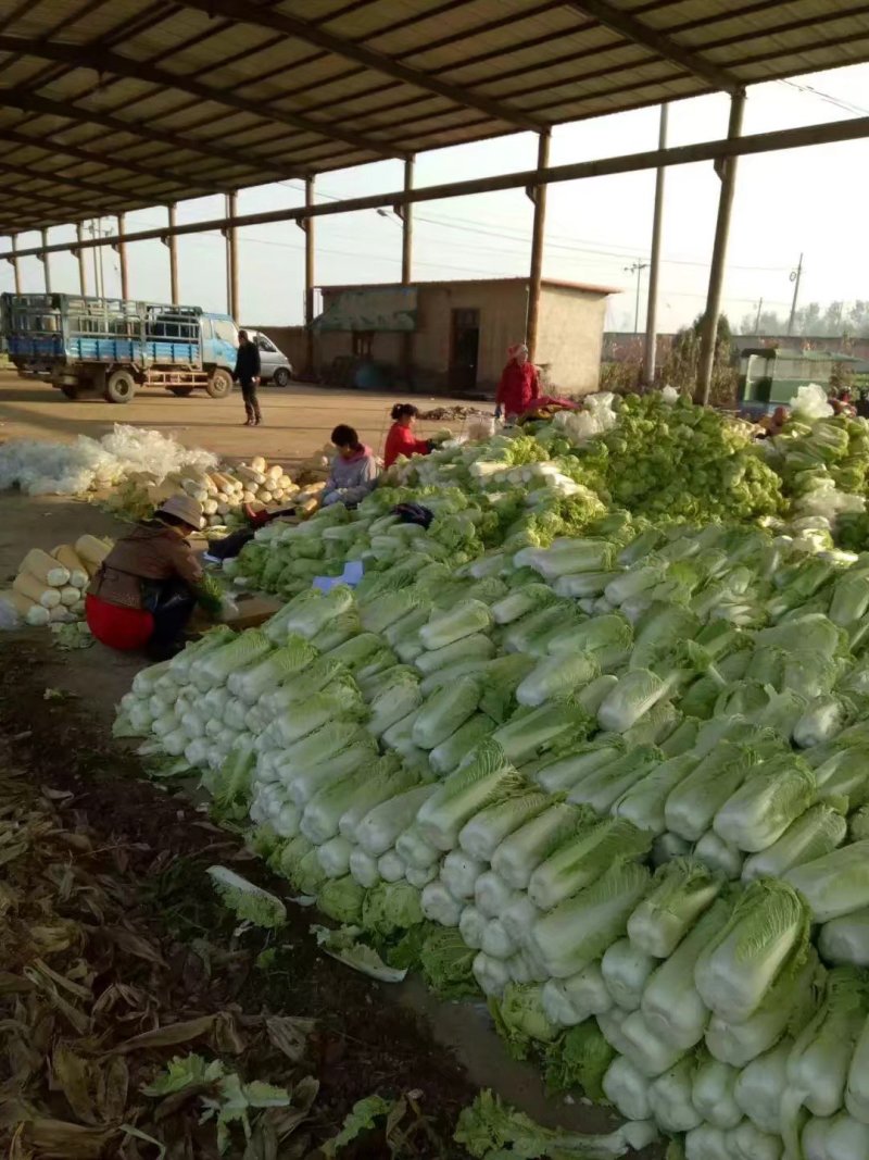 北京新三号大量供应！加工各种包装市场货酸菜厂储存货