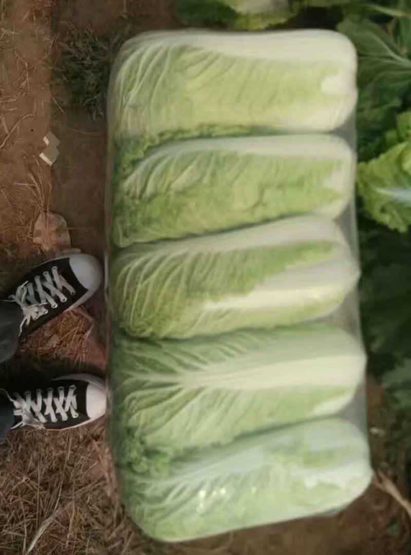 北京新三号大量供应！加工各种包装市场货酸菜厂储存货