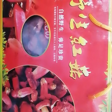 纯野生红菇