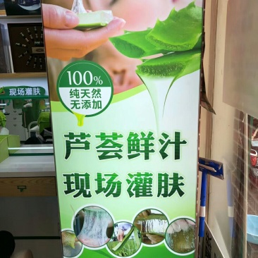 芦荟
