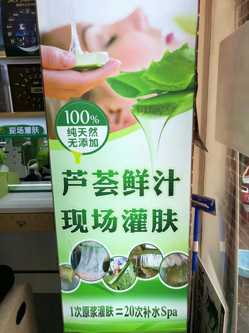 芦荟
