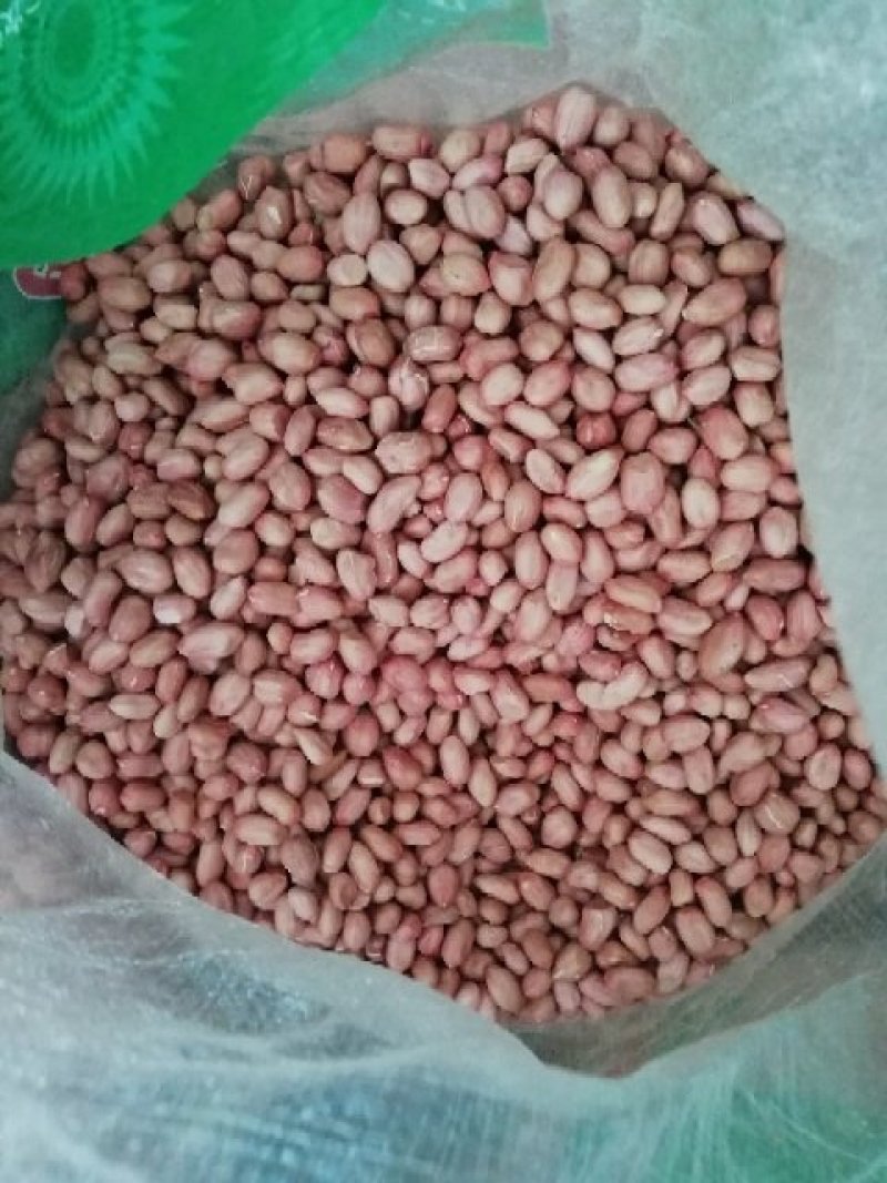 粮油作物