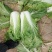 黄心菜白菜7斤以上净菜