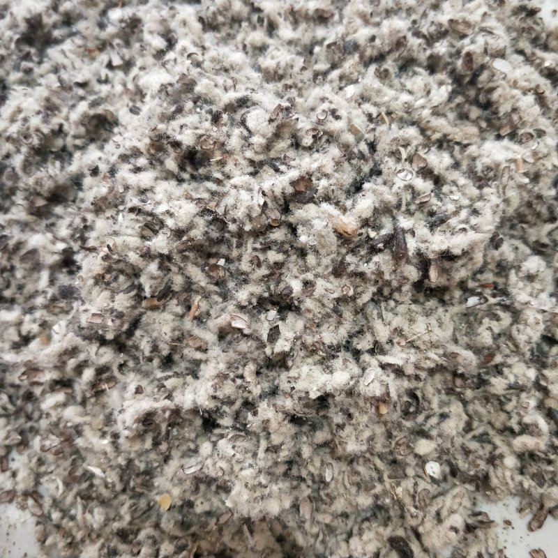 棉籽壳新疆小壳长绒食用菌原料