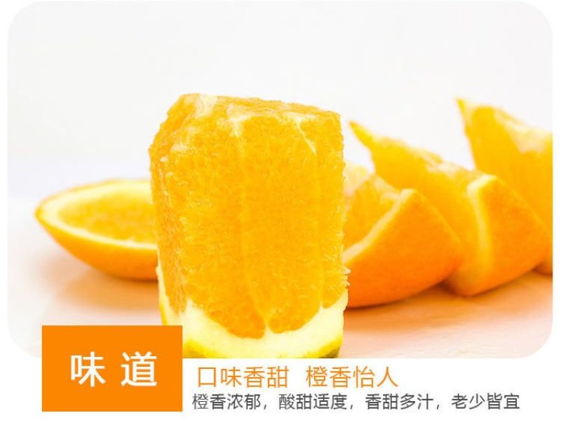 赣南脐橙支持批发代发零售整车配送产地直达