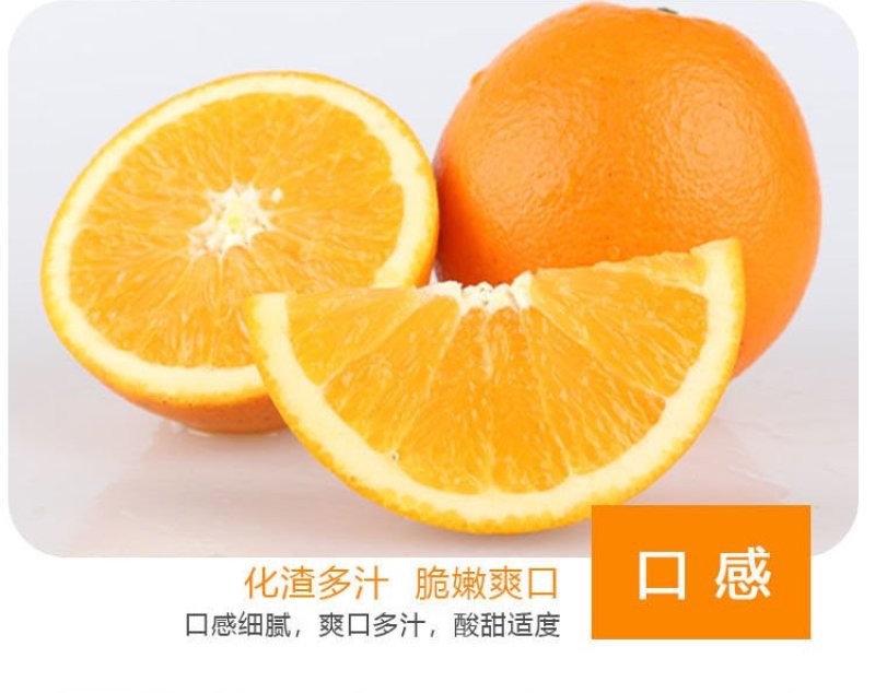 赣南脐橙支持批发代发零售整车配送产地直达