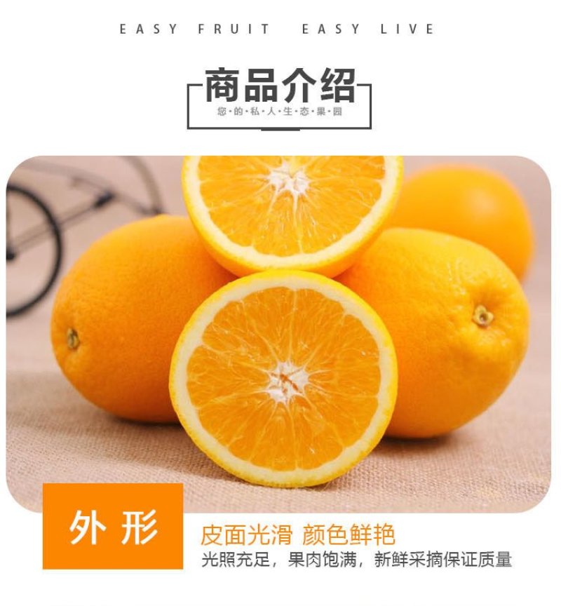 赣南脐橙支持批发代发零售整车配送产地直达