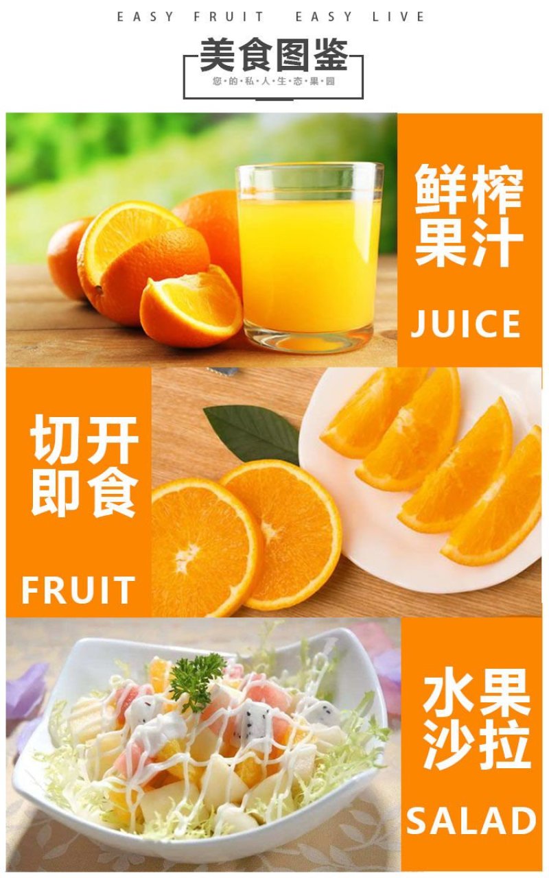 赣南脐橙支持批发代发零售整车配送产地直达