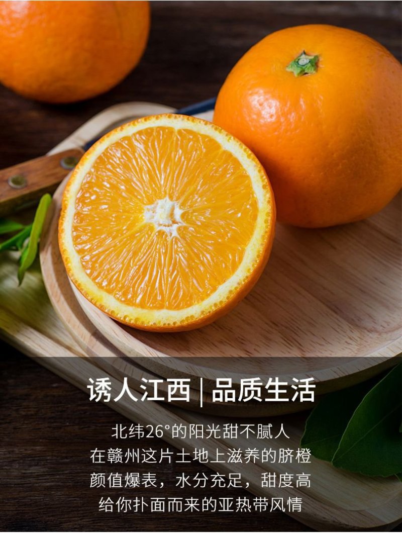 赣南脐橙支持批发代发零售整车配送产地直达