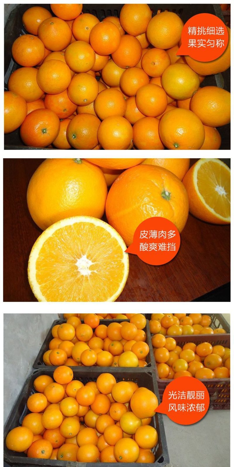 赣南脐橙支持批发代发零售整车配送产地直达