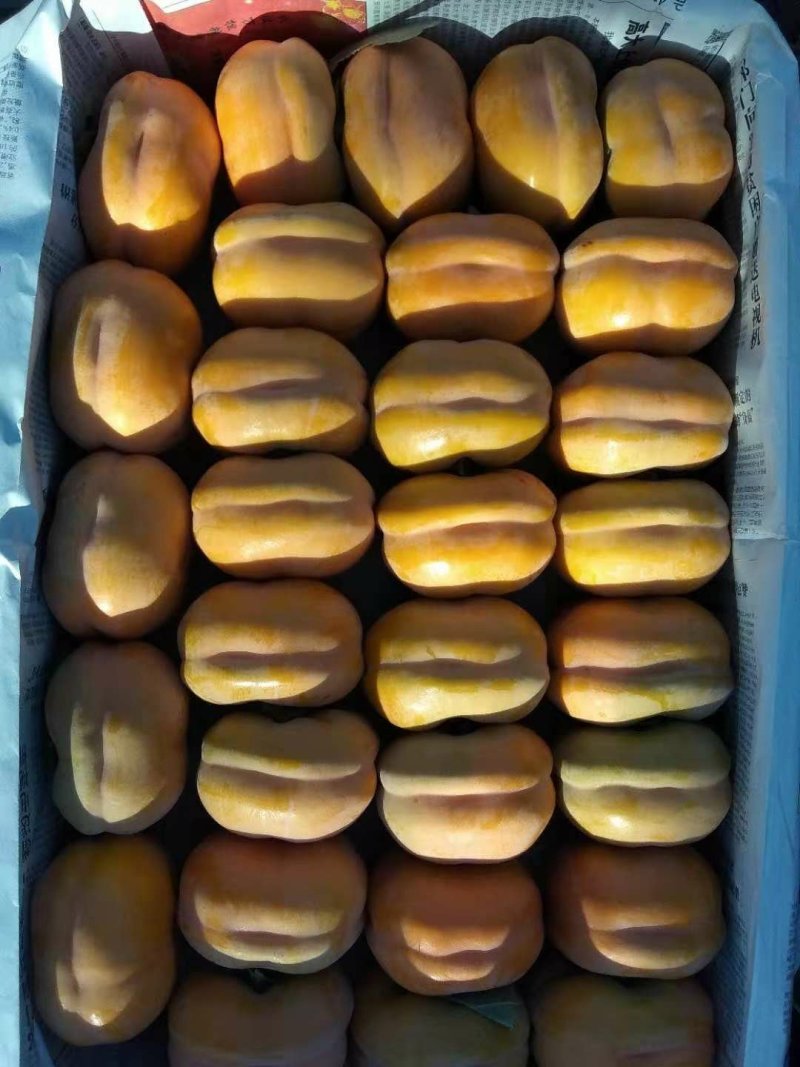 磨盘柿子