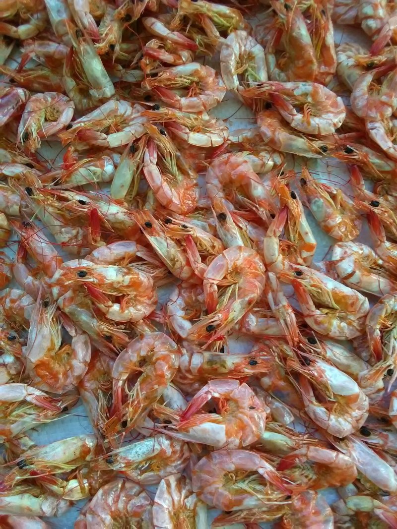 虾干