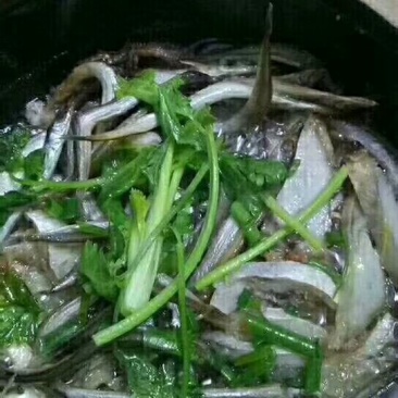 鳝鱼子干