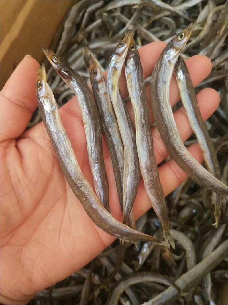 鳝鱼子干