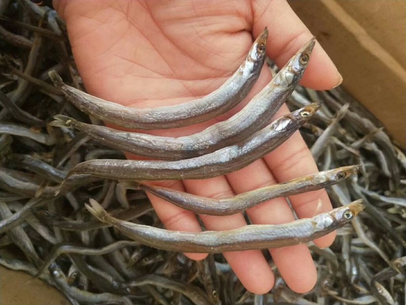 鳝鱼子干