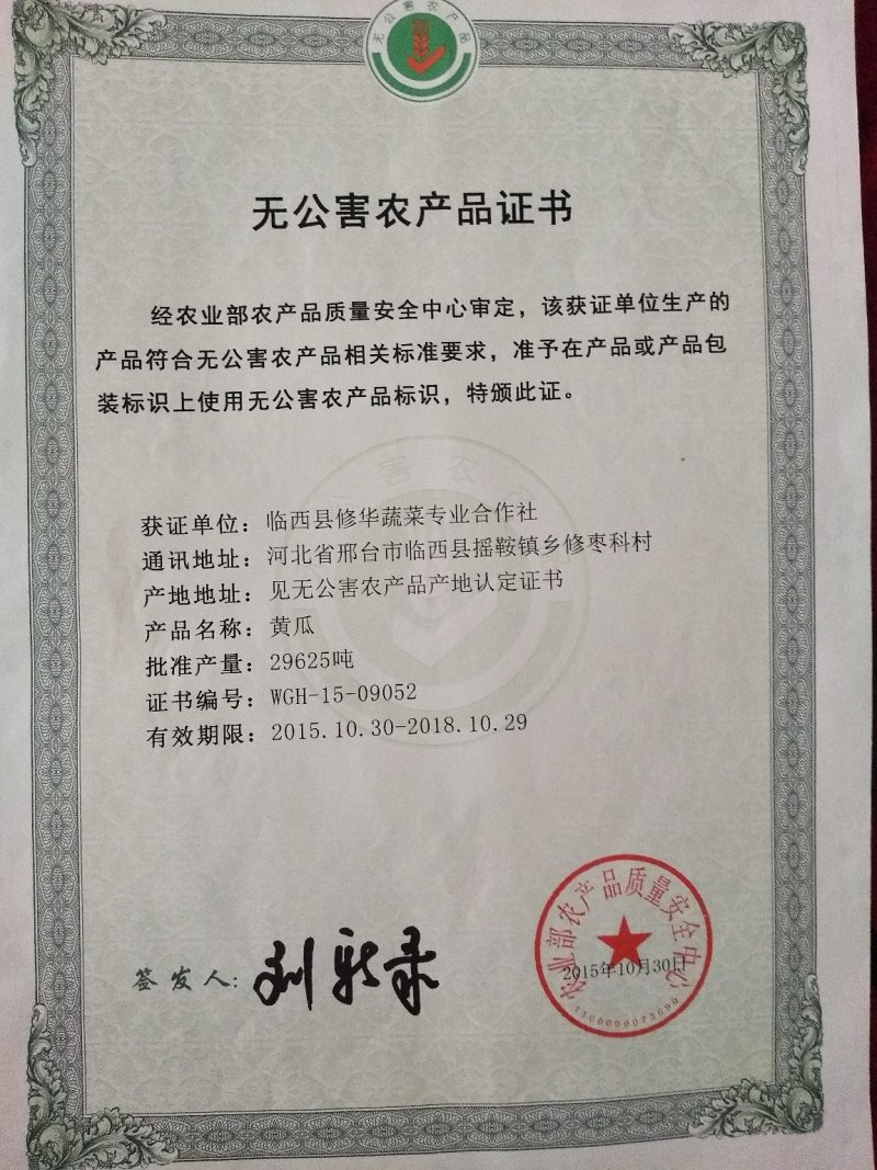 密刺黄瓜，常年种植，可合作，25公分以上鲜花带刺