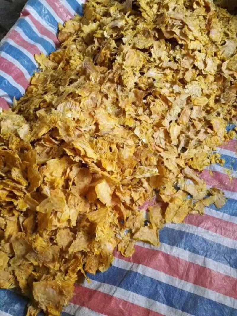 黄山笋尖，野小笋