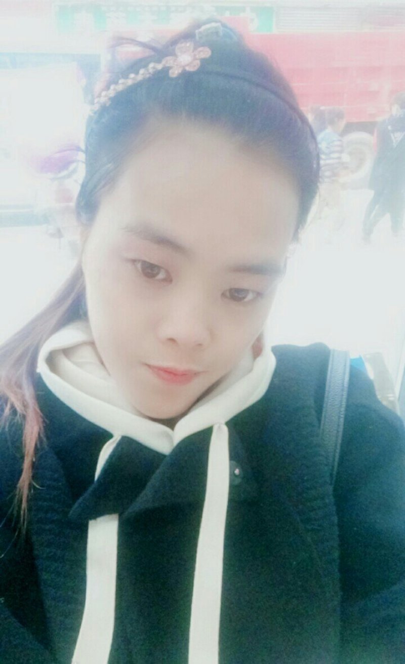 香橙种子