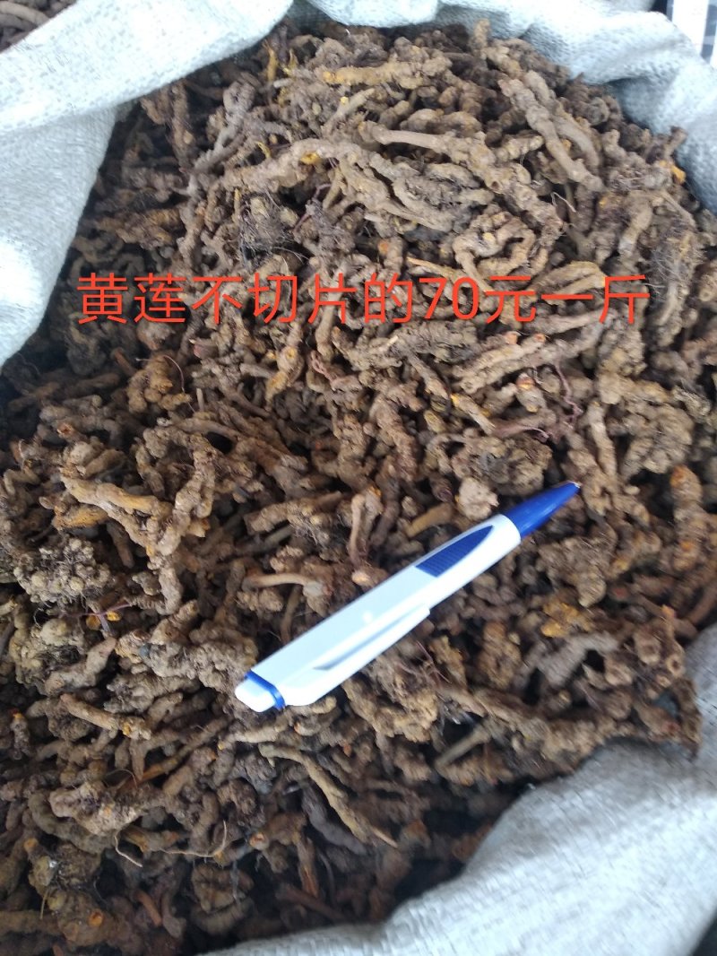 黄莲四川黄莲各种规格切片、整个子根阴枝