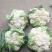 白花菜价洛○丶8元