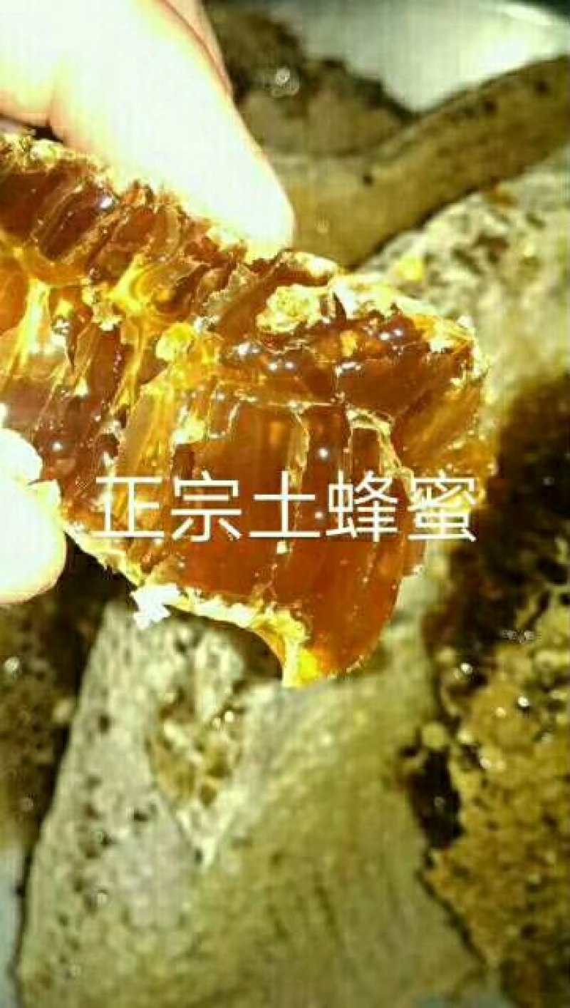 天然土蜂蜜