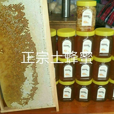 天然土蜂蜜