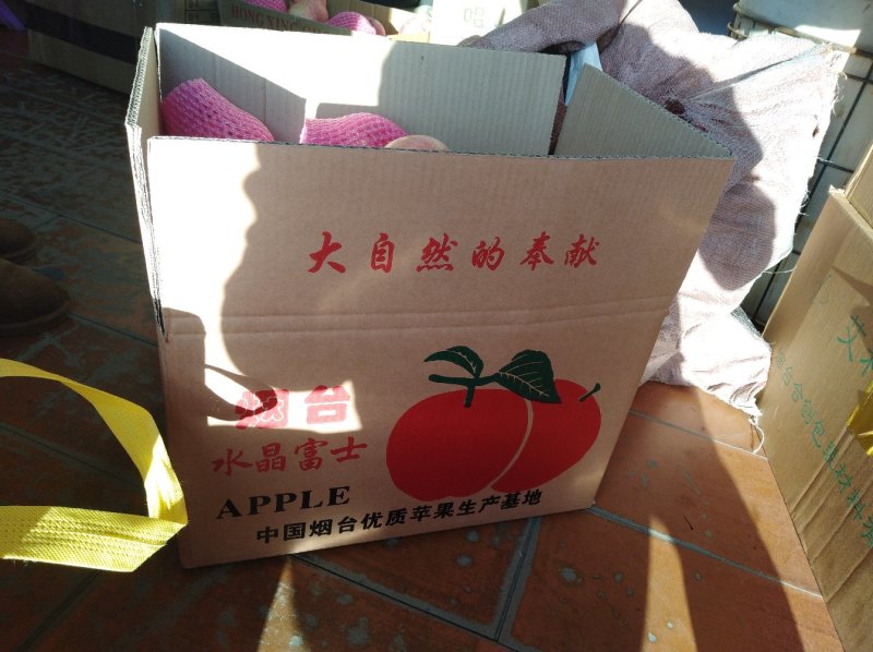 常年大量供应红富士可代办