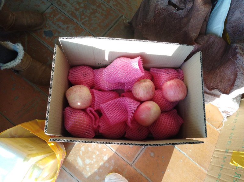 常年大量供应红富士可代办