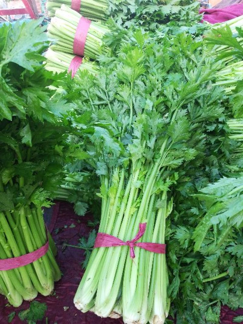 芹菜大量上市，价格优惠。