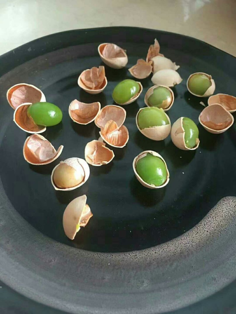 佛指白果