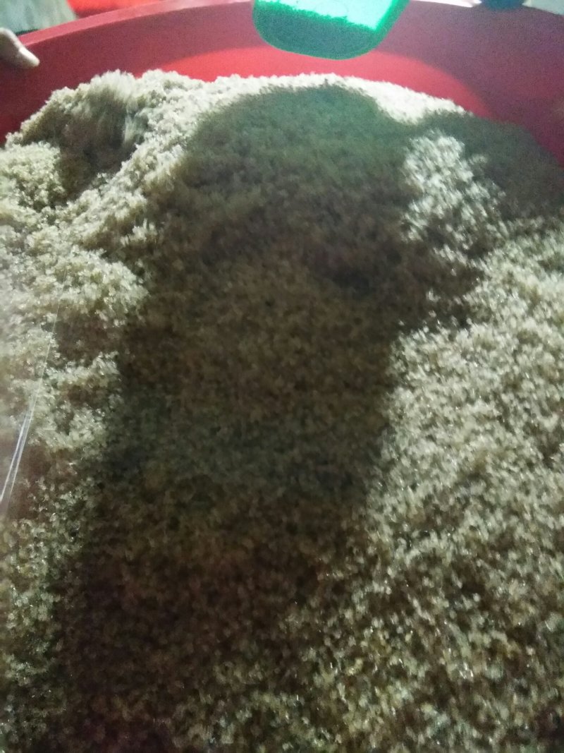 水产种苗