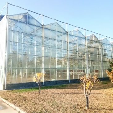新型温室大棚,玻璃温室,智能温室,温室建设