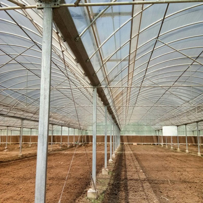 新型温室大棚，玻璃温室，智能温室，温室建设