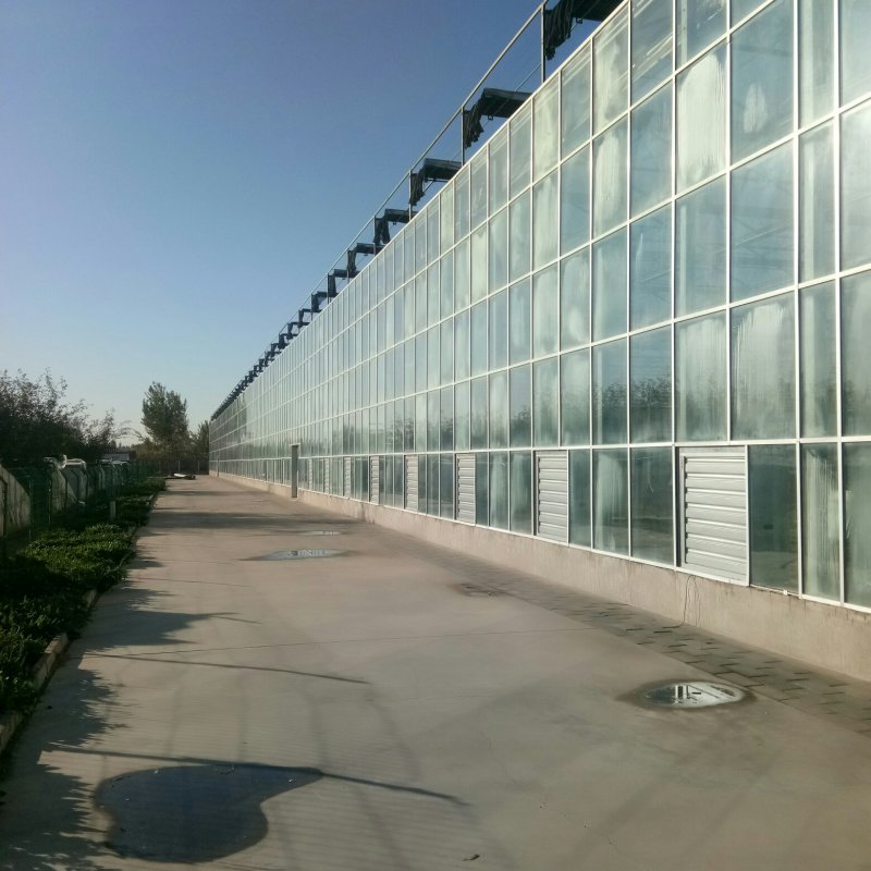 新型温室大棚，玻璃温室，智能温室，温室建设